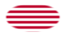Sons of Liberty (EE. UU. h. 1765, 13 franjas)-Bandera como viñeta ovalada