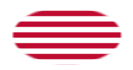 Sons of Liberty (EE. UU. h. 1765, 13 franjas)-Bandera como viñeta ovalada
