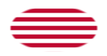 Sons of Liberty (EE. UU. h. 1765, 13 franjas)-Bandera como viñeta ovalada