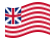 Grand Union (EE. UU. 1775-1777)-Se agita la bandera
