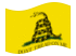 Gadsden (EE. UU. h. 1775)-Se agita la bandera