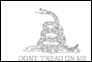 Bandera de Gadsden (EE. UU. h. 1775) para colorear