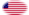 Star-Spangled Banner (EE. UU. 1795-1818)-Bandera como viñeta ovalada