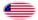 Star-Spangled Banner (EE. UU. 1795-1818)-Bandera como viñeta ovalada
