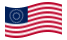 EE.UU. 37 estrellas (1867-1877)-Se agita la bandera