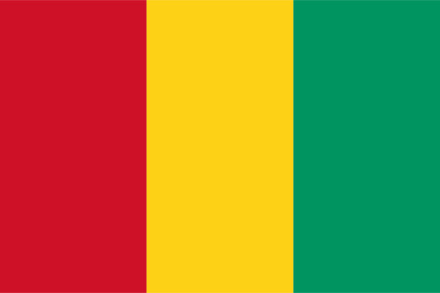 Bandera Guinea, Bandera Guinea