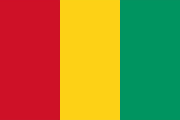 Bandera Guinea