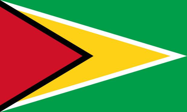 Bandera Guyana, Bandera Guyana