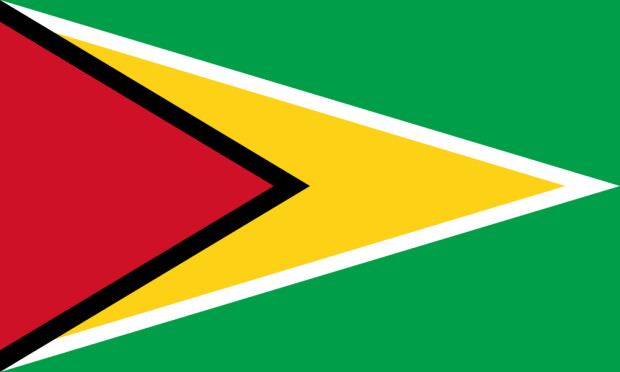 Bandera Guyana