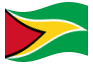 Bandera animada Guyana