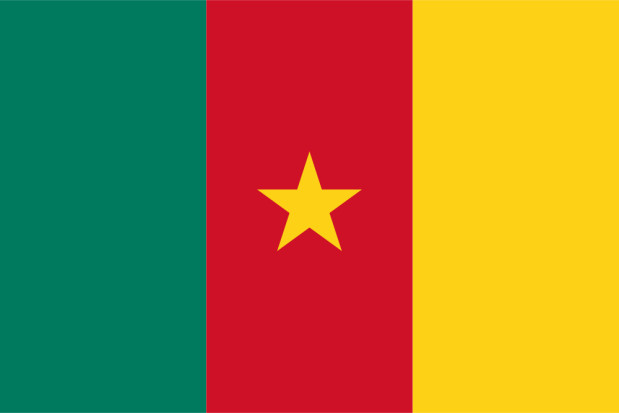 Bandera Camerún