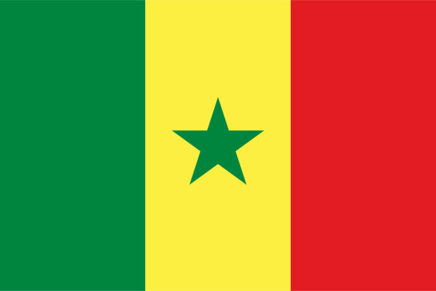 Bandera Senegal, Bandera Senegal