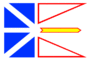 Gráficos de bandera Terranova y Labrador