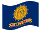 Bandera animada Georgia