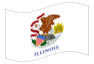 Bandera animada Illinois