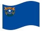 Bandera animada Nevada