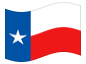 Bandera animada Texas