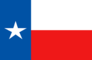 Gráficos de bandera Texas