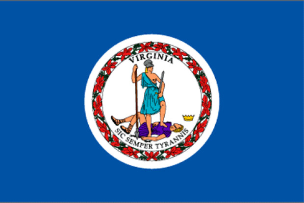 Bandera Virginia, Bandera Virginia