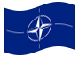 Bandera animada OTAN (Organización del Tratado del Atlántico Norte)
