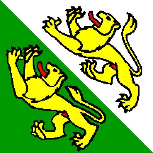 Bandera Thurgau, Bandera Thurgau