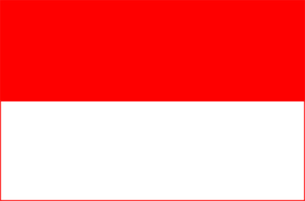 Bandera Salzburgo (provincia), Bandera Salzburgo (provincia)