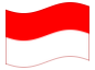 Bandera animada Salzburgo (provincia)