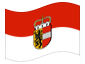 Bandera animada Salzburgo (bandera de servicio)