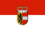 Gráficos de bandera Salzburgo (bandera de servicio)