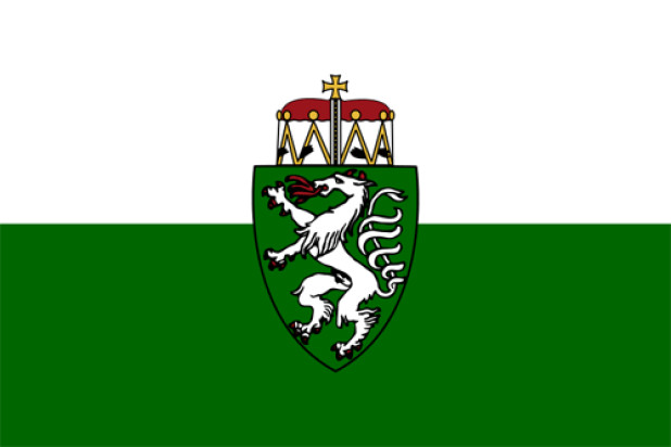 Bandera Estiria (bandera de servicio), Bandera Estiria (bandera de servicio)
