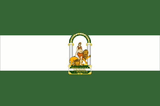 Bandera Andalucía, Bandera Andalucía