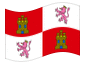 Bandera animada Castilla y León