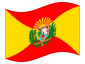 Bandera animada Aragua