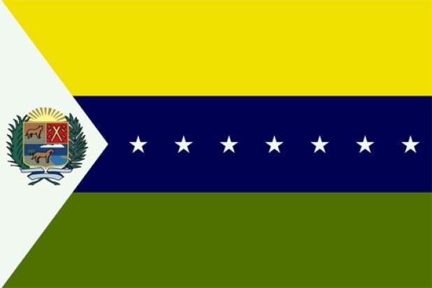 Bandera Apure, Bandera Apure