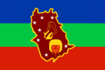 Amazonas-Bandera rectangular