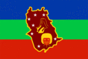 Amazonas-Bandera rectangular