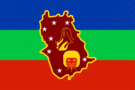 Amazonas-Bandera rectangular