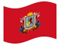 Bandera animada Caracas