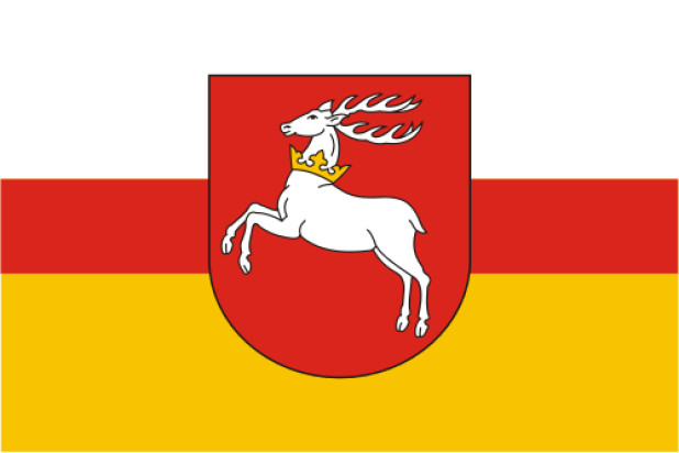 Bandera Lublin (Lubelskie)