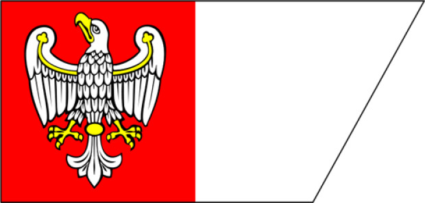 Bandera Wielkopolska (Gran Polonia), Bandera Wielkopolska (Gran Polonia)