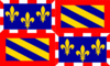 Bandera Borgoña (Bourgogne)