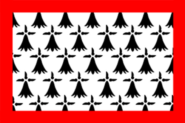 Bandera Lemosín