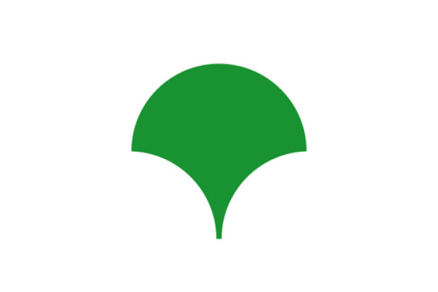 Bandera Tokio (región metropolitana)