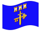 Bandera animada Ternopil