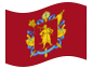 Bandera animada Zaporizhzhya