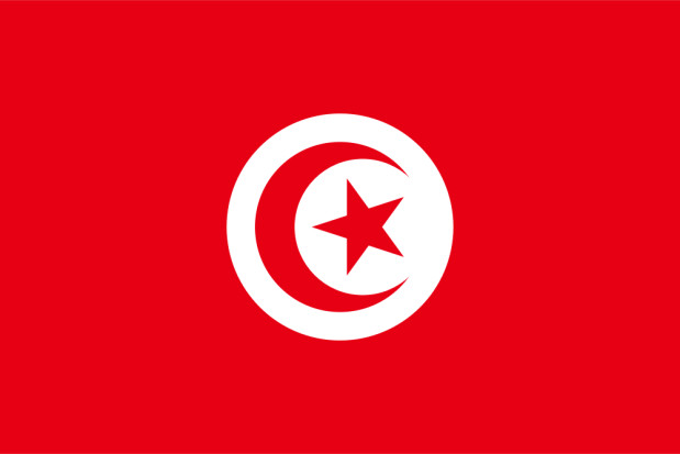 Bandera Túnez