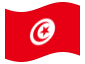 Bandera animada Túnez