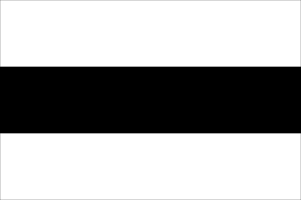 Bandera Posnania (provincia prusiana)