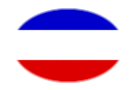 Schleswig-Holstein (provincia prusiana)-Bandera como viñeta ovalada